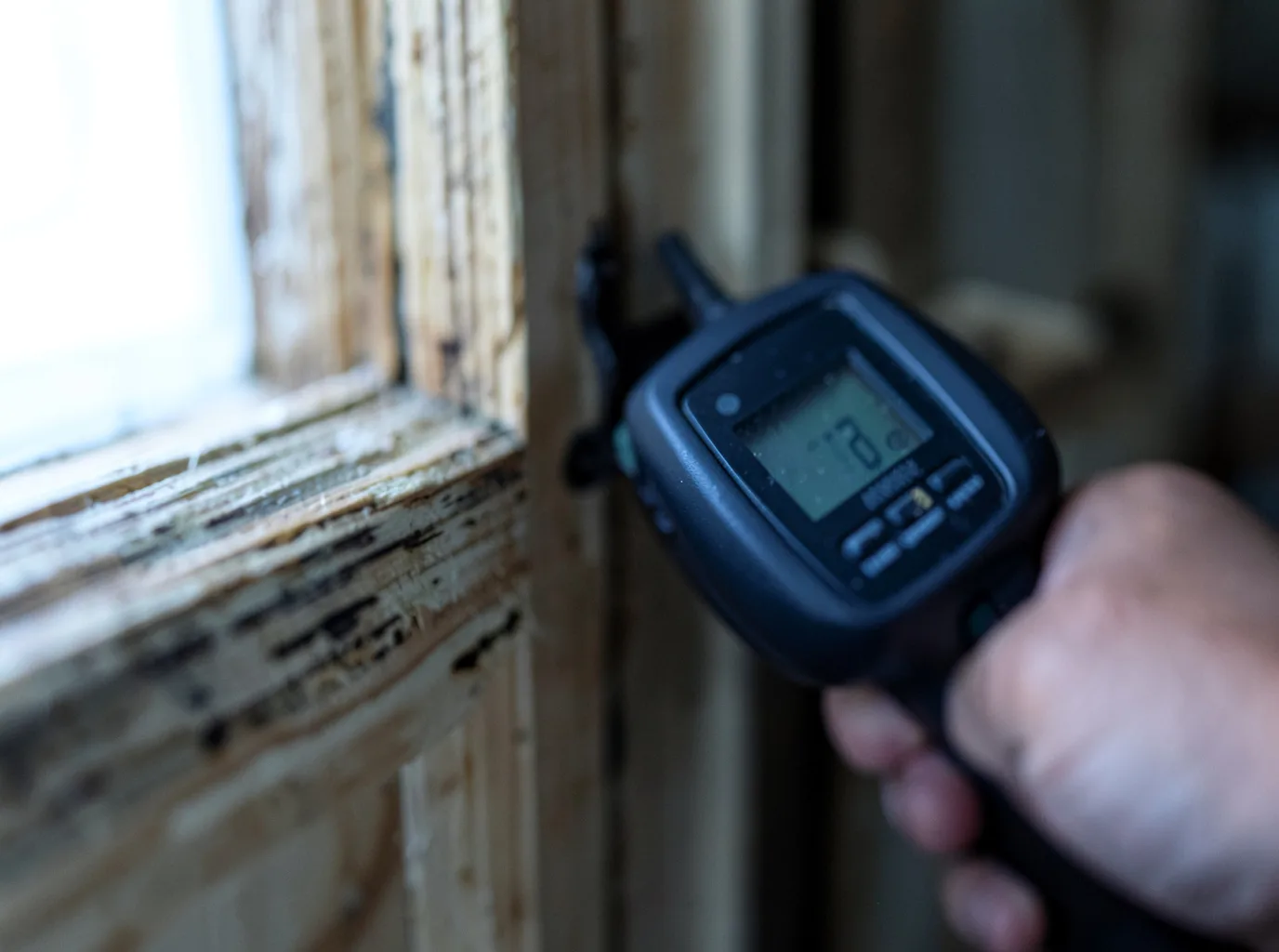 Commercial Water Damage Restoration in Columbine, CO